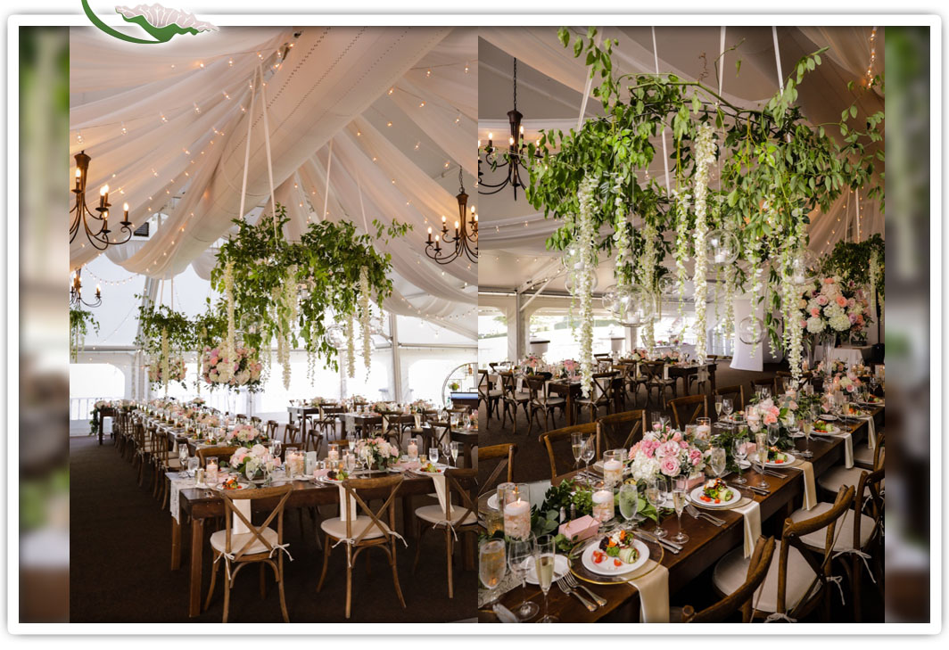 Flowers Delivered Albany Ny Florists In Albany Ny The Knot We offer