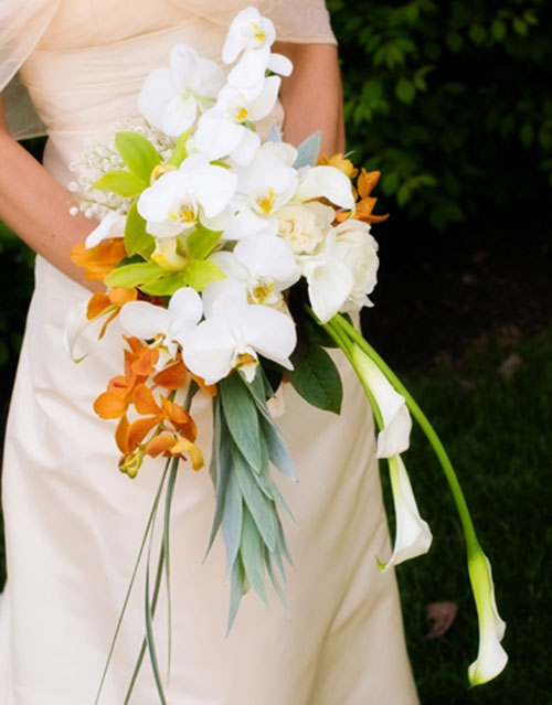 Surroundings Flowers Weddings Florist Events Funerals Albany Saratoga Lake George