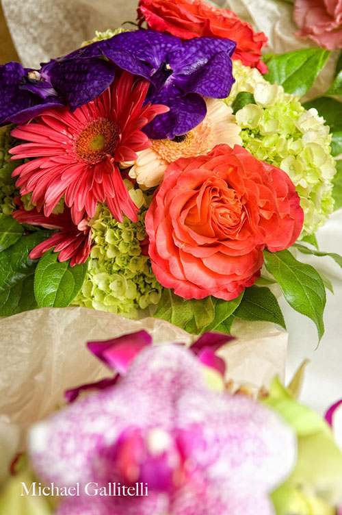 Surroundings Flowers Weddings Florist Events Funerals Albany Saratoga Lake George
